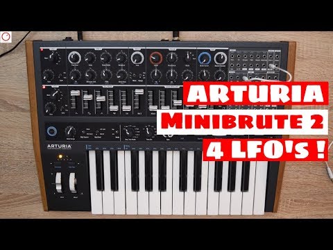 ARTURIA MiniBrute 2 Synthesizer Tutorial - The Secret Of The 4 LFO's