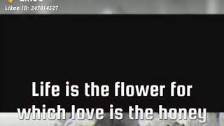 Life is the flower for which love is the honey.......