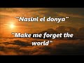 Nasini El Donya Ragheb Alama Lyrics English Translation