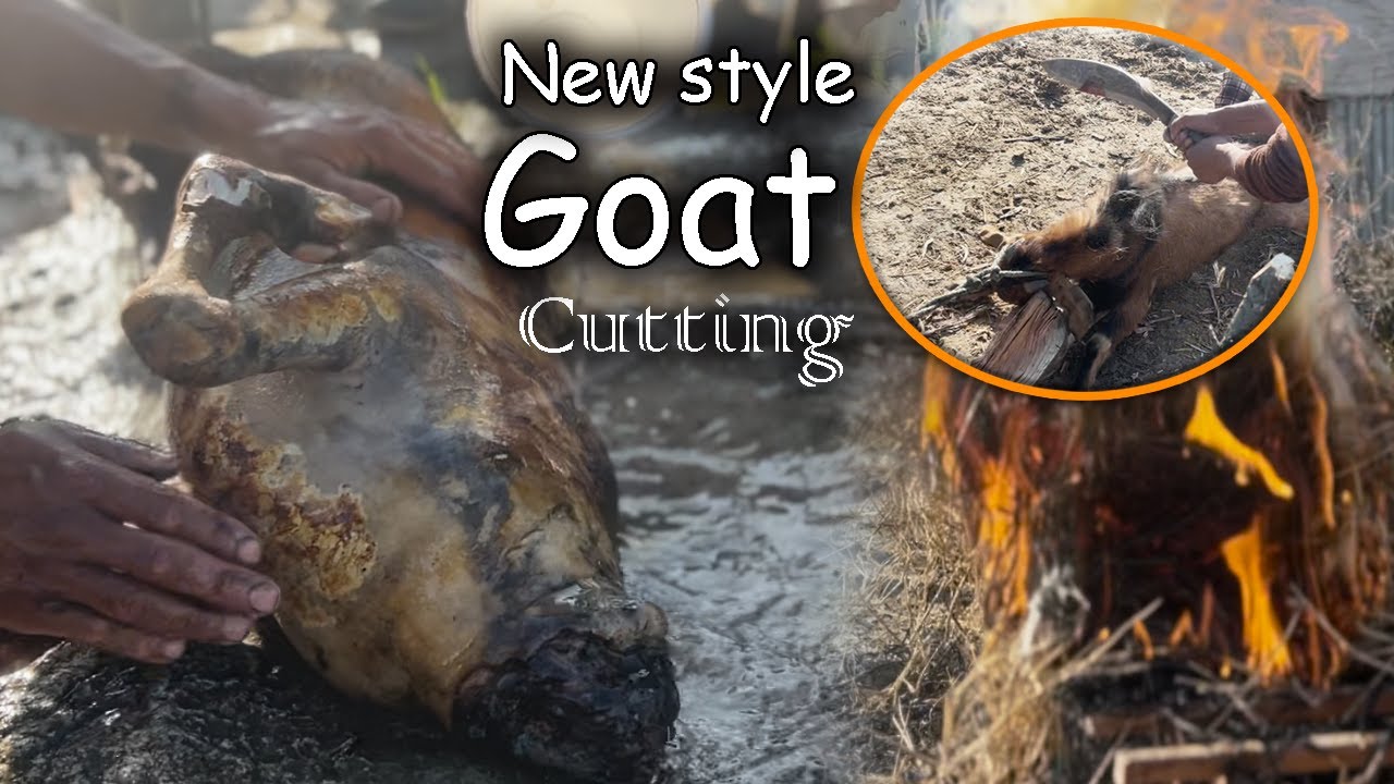 Best Goat Cutting Style in Nepal |  Goat Cutting |  khasi cutting | Goat's meat cutting | Nepal Vlog