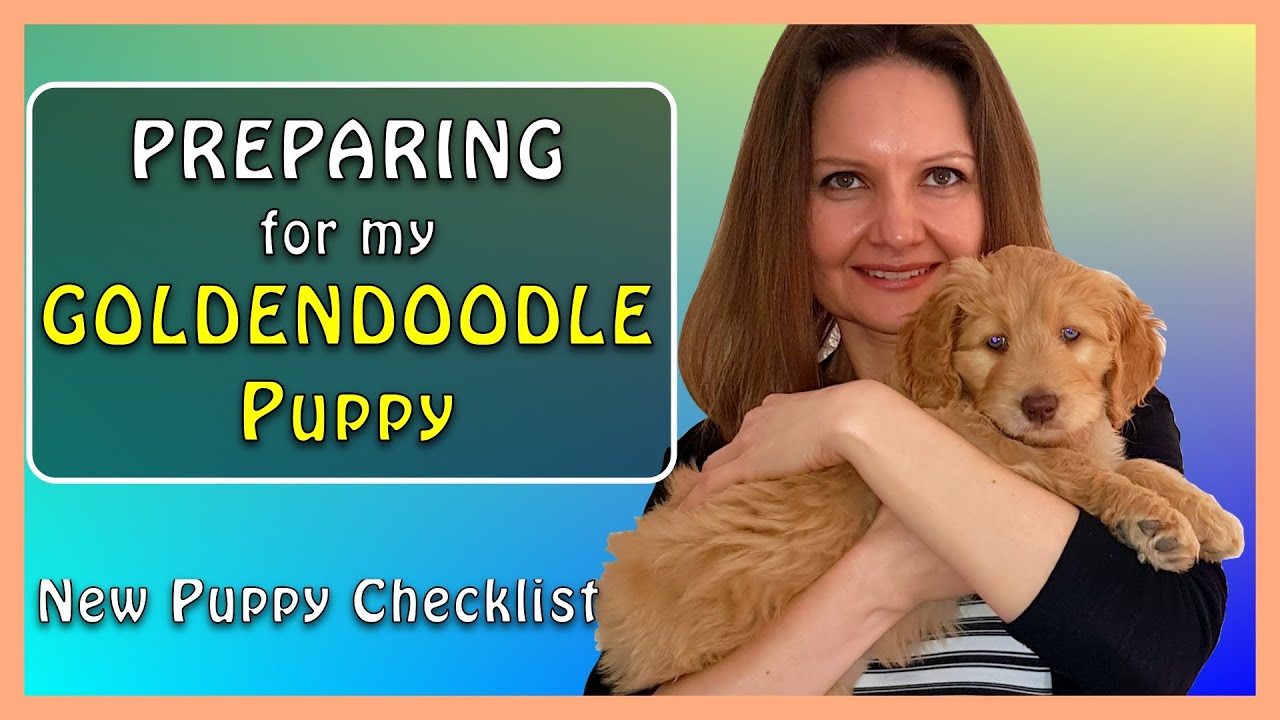 New GOLDENDOODLE PUPPY CHECKLIST: Ultimate Preparation Guide 