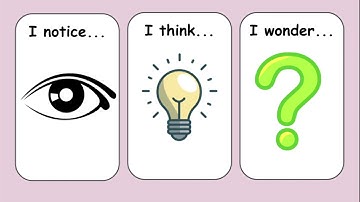 Making Observations and Asking Questions