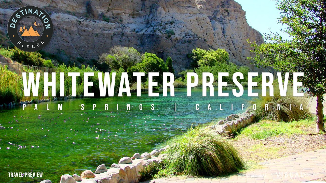How To Preserve Palm Leaves In Water