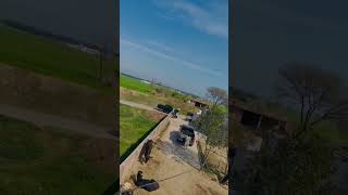 Vigo Pand Ma Wawa シ