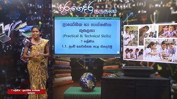 පුංචි ගෙවත්තක පැළ නිපදවමු - 07 ශ්‍රේණිය (ප්‍රායෝගික තාක්ෂණ කුසලතා)