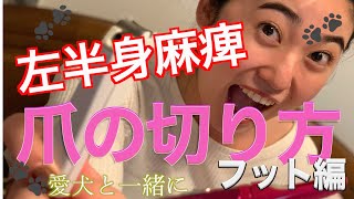 【How to】足の爪の切り方