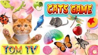 CAT GAMES TOM TV | Ultimate Cat TV Compilation Vol 32 | 3 HOURS | NO ADS  🐝🐞🦋🦎🦜🐜🐭🧵