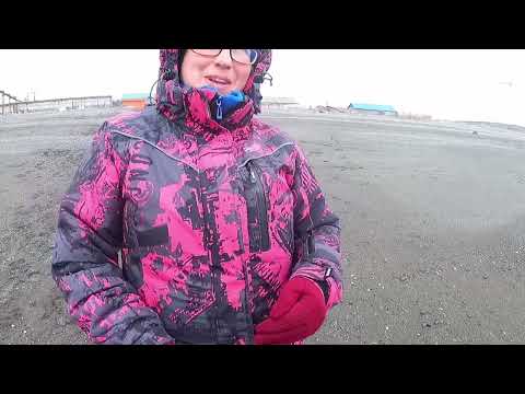 Видео: Камчатка, Охотское море, навага и черемша с Лизихитонами.