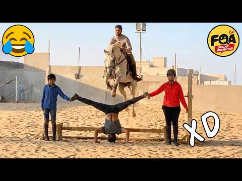 VIDEOS DE RISA 🤣 SI TE RÍES PIERDES NIVEL DIOS #16 😎HUMOR VIRAL MEXICANO🤣