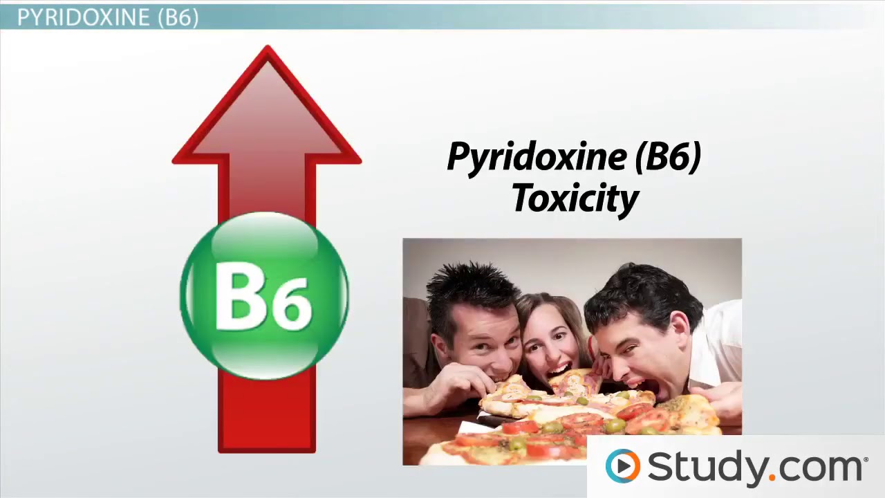 Niacin, B5, B6 & B7 Water Soluble Vitamin Deficiency & Toxicity YouTube