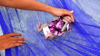 Dad comfort to baby to take a rest in hammock