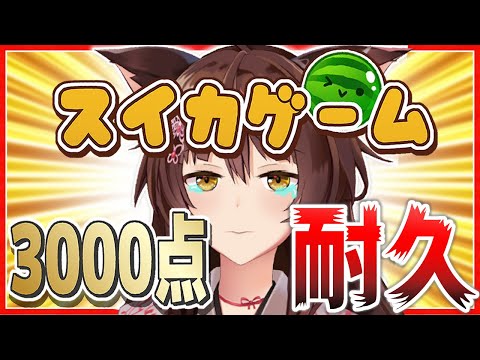 【スイカゲーム】今日こそ3000点いくまで耐久🔥🔥🔥【にじさんじフミ】