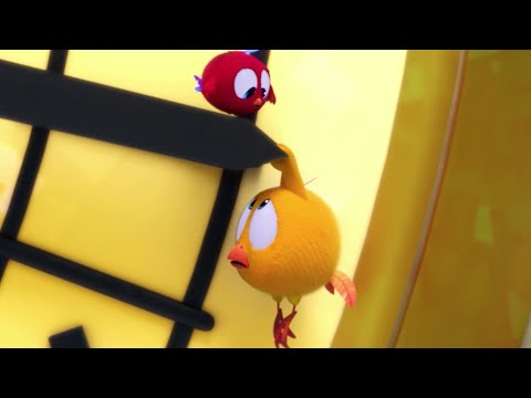 Где Чики? 🐥 Chicky НОВАЯ СЕРИЯ! | Чики и Пойо в опасности! 😱 Сборник мультфильмов на русском языке
