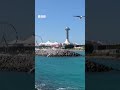 Daawo: warbixin ku saabsan khilaafka Sacuudiga iyo Imaaraadka ee dalka Yeman.