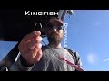 KINGFISH Durville Island Josh James Kiwi Bushman FISHING NEW ZEALAND top of the South Island