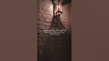 وما تدري نفس ماذا تكسب غدا _ ناصر القطامي سورة لقمان  #قران #quran