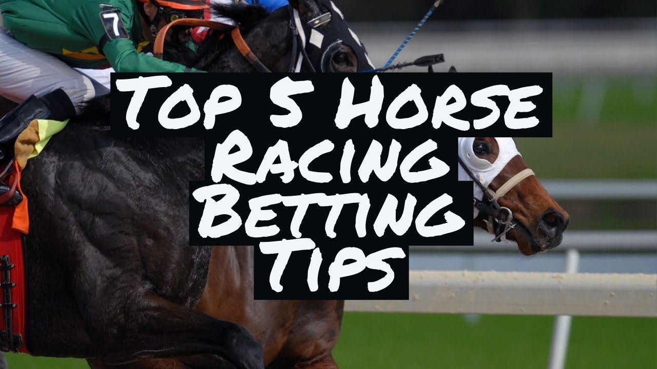 Top 5 Horse Racing Betting Tips! - YouTube