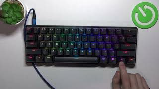 Celebrity How to Press an Insert Key on STEELSERIES Apex Pro Mini Net Worth