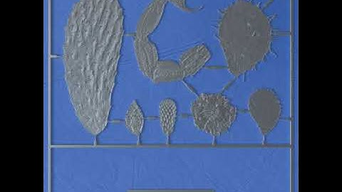 Kindohm - Reclaimed 1