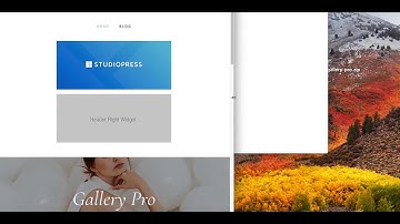 Add Responsive Header Right Widget Area To Gallery Pro