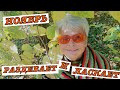 #vlog Жизнь в Болгарии. Осень 2021. Ноябрь раздевает и ласкает. Погода в Варне.