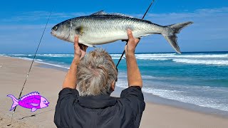 Fishing Boiling Down Beach (Talia) | Elliston Australian Salmon Fishing