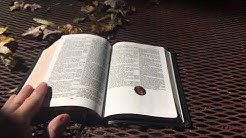 Church Bible Publishers Personal size Concord edition
