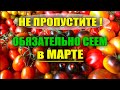 ОБЯЗАТЕЛЬНО СЕЕМ В МАРТЕ НА РАССАДУ ЭТИ ОВОЩИ И ЦВЕТЫ