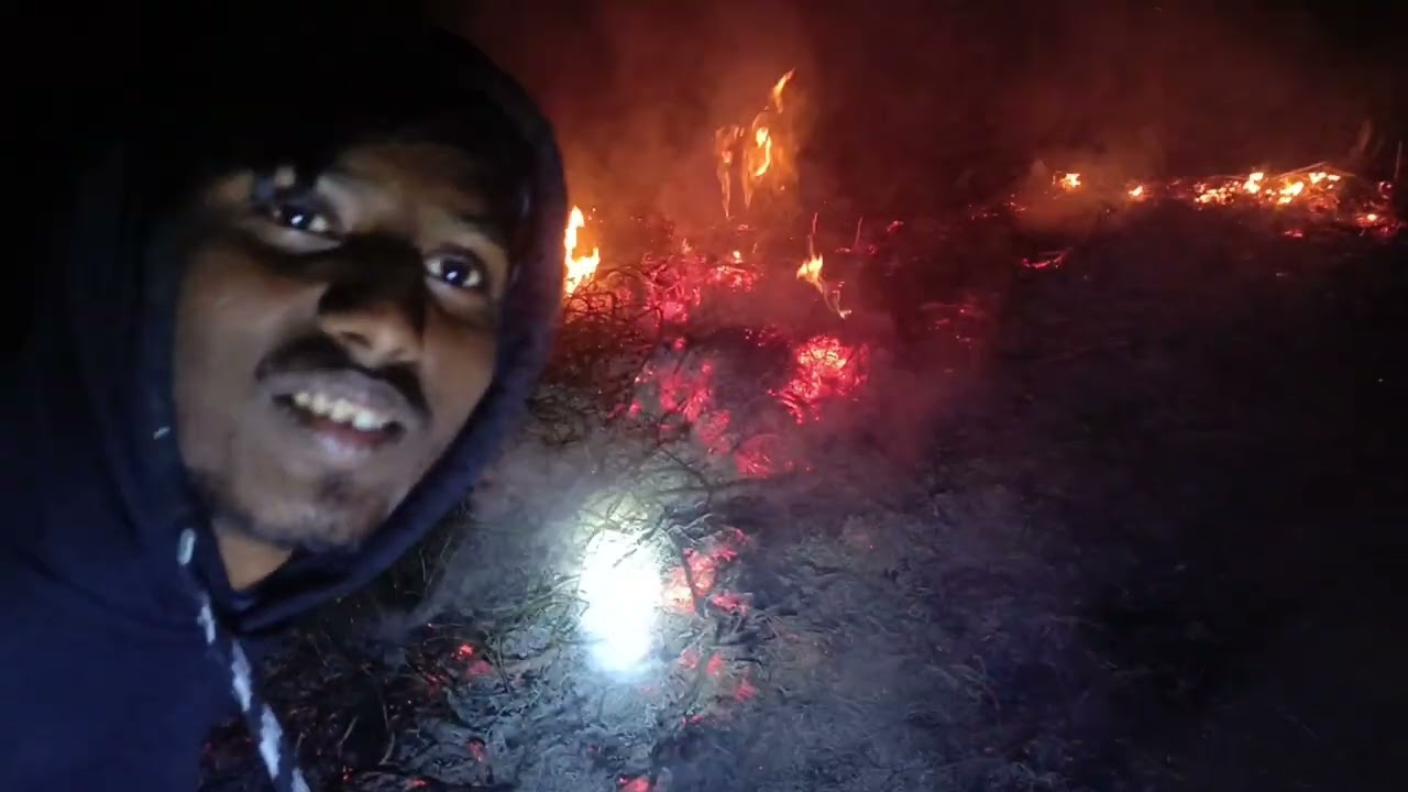 রাতে আলু পোড়া খেল চুরি করে 