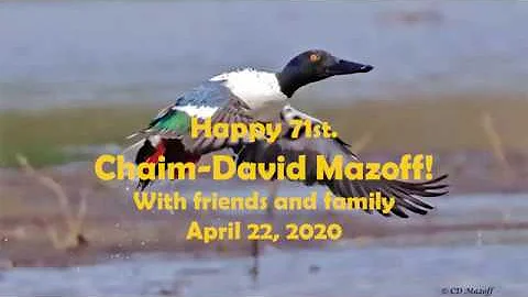 71st Birthday Dr. Chaim-David Mazoff April 2020