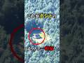 コレがホントのポツンと一軒家！？
