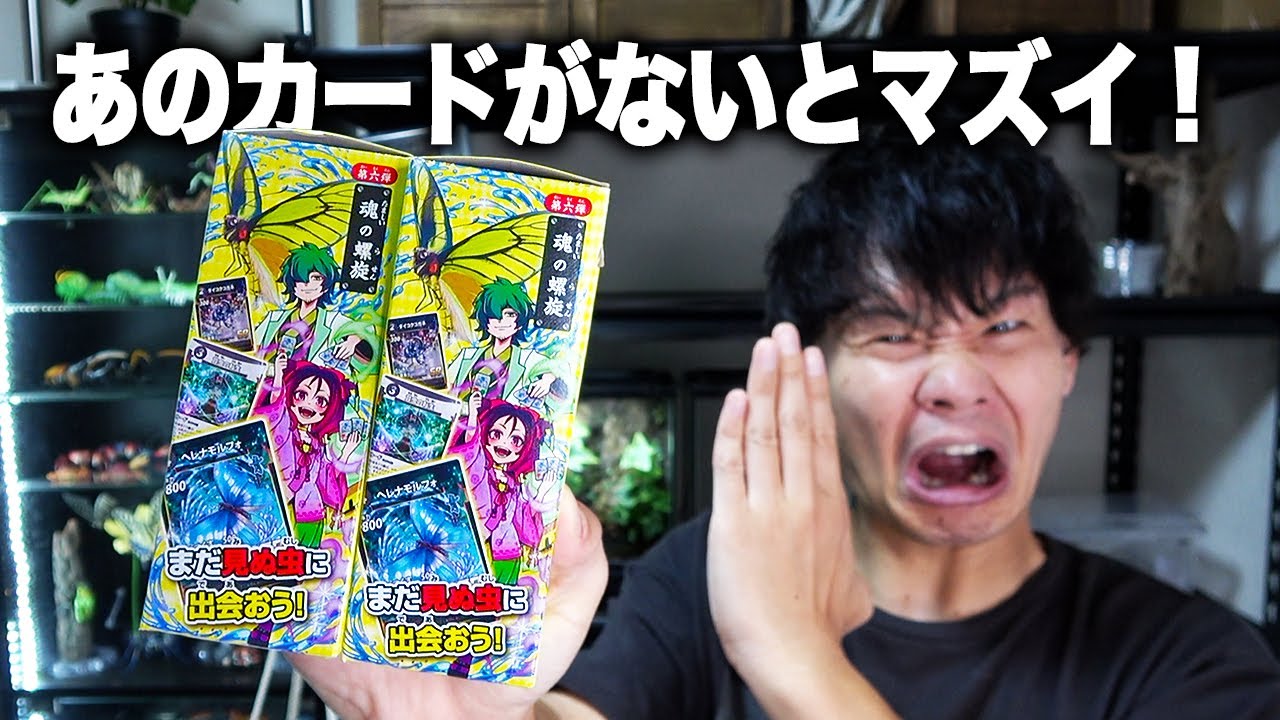 Please! I can't fight without that card from the 6th Insect Sacred