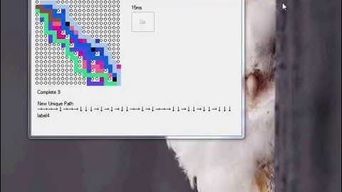 Visualizing Project Euler Problem 15  | Lattice Paths