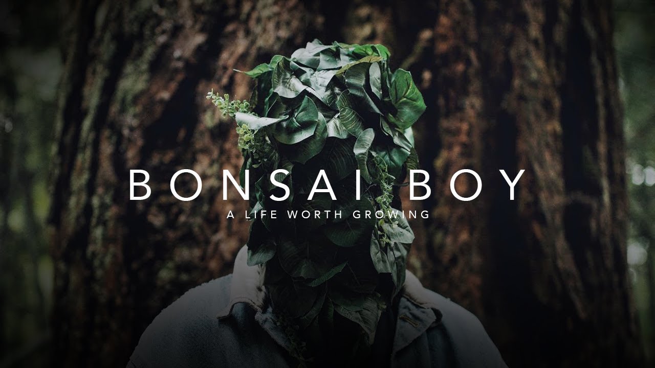 Bonsai Boy Indiegogo
