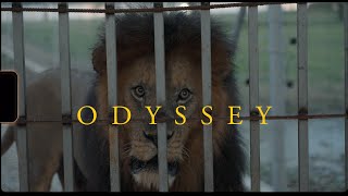 Odyssey Season 2 | Episode 6 Malaysia