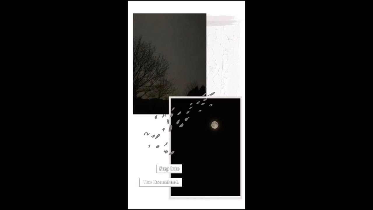 Full Moon Day YouTube full-moon-day-youtube
