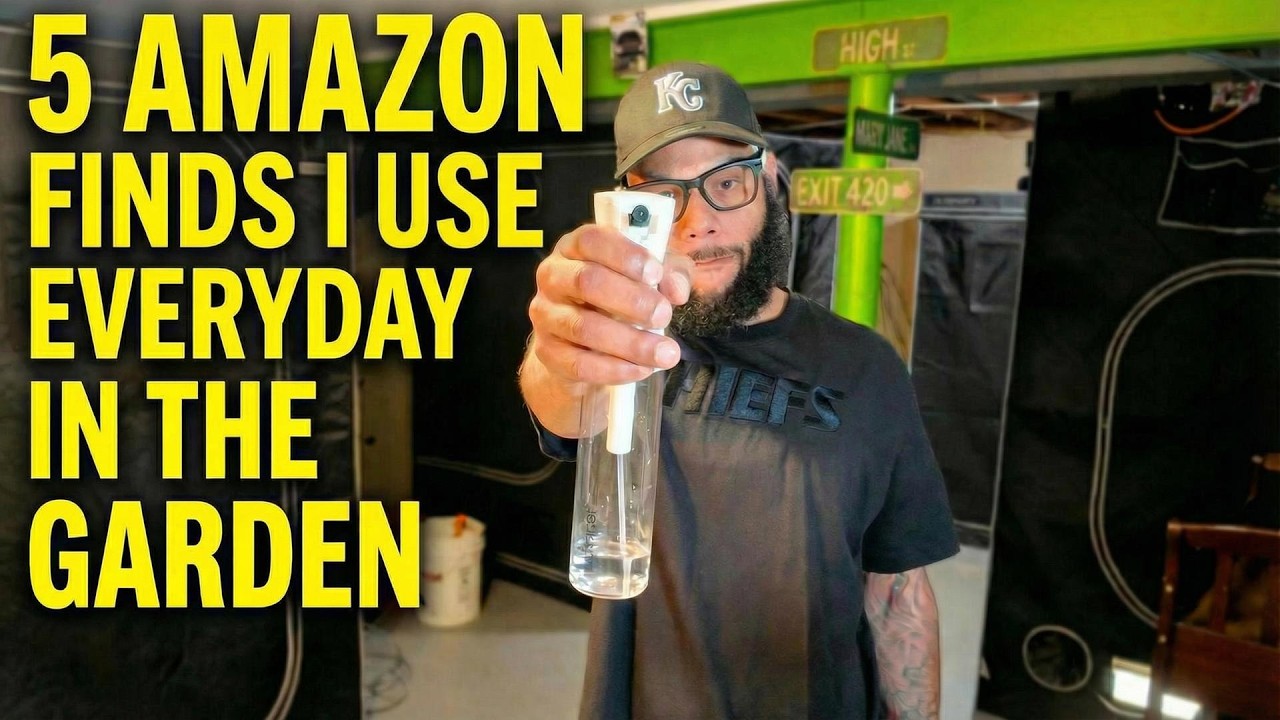 5 Simple Amazon Finds That Made Plant Care Actually Easy