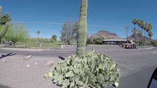 Tucson Estates Homes For Sale - Tucson's Hidden Gem 55+ Community