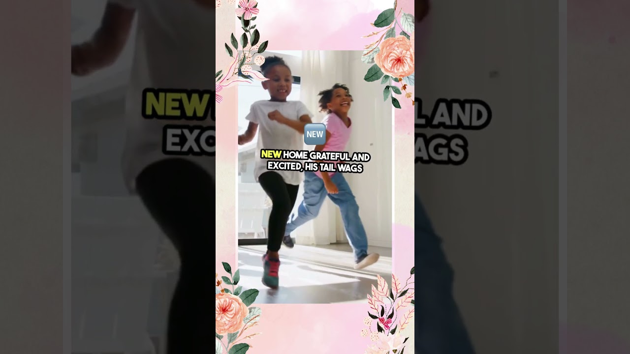 From street dog to cherished family member! 