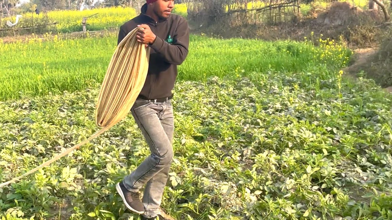 Diesel engine starting for farming water, Farming 5hp diesel engine machine