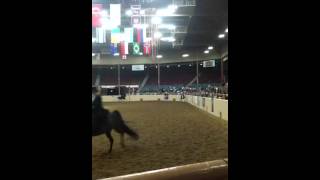 HA/AA Park Youth Nationals 2012 Trot