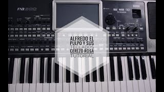 Video thumbnail of "Alfredo el Pulpo y sus teclados Cerezo Rosa tutorial"