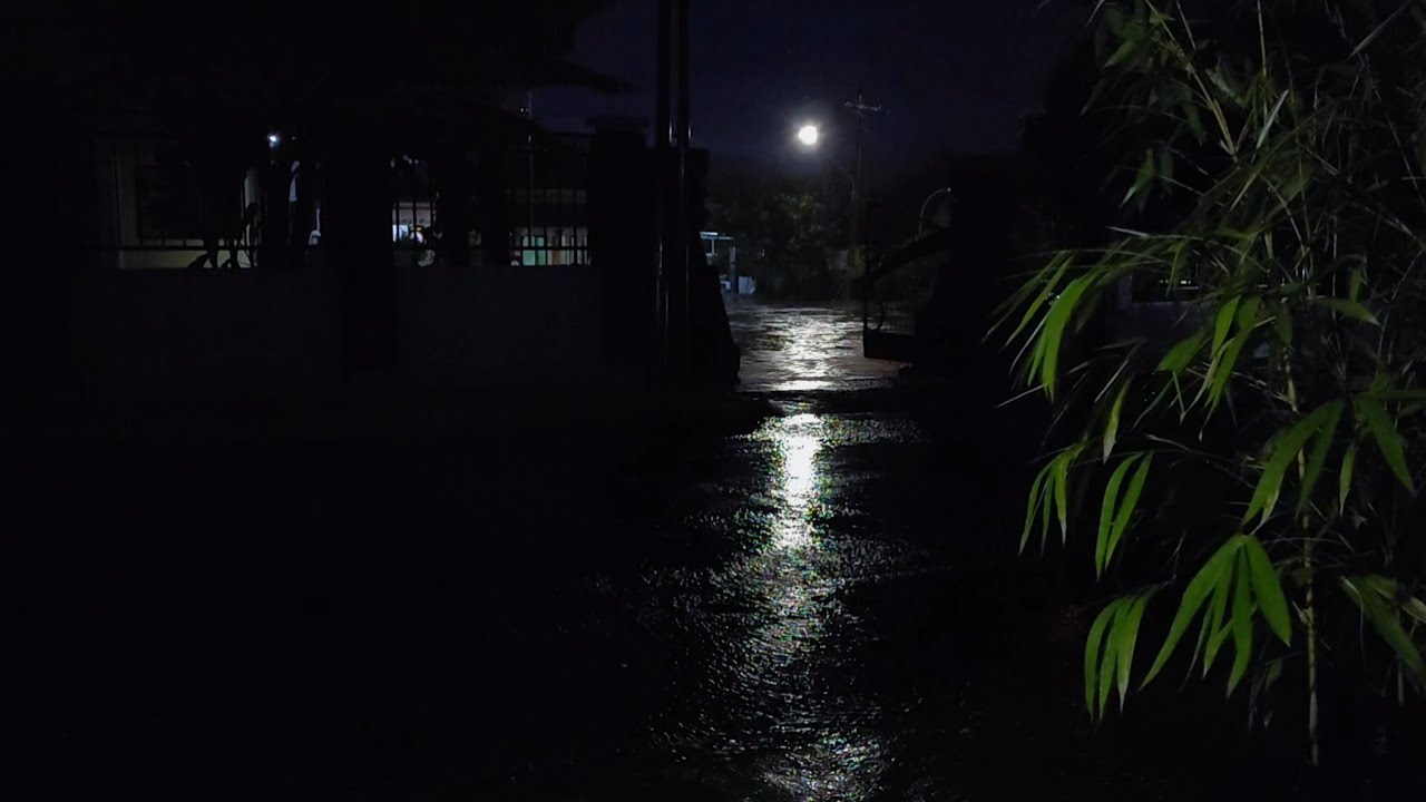 Deep Night Rain Sounds 🌙 | Premium White Noise for Sleep, Focus & Total Calm (No Ads)