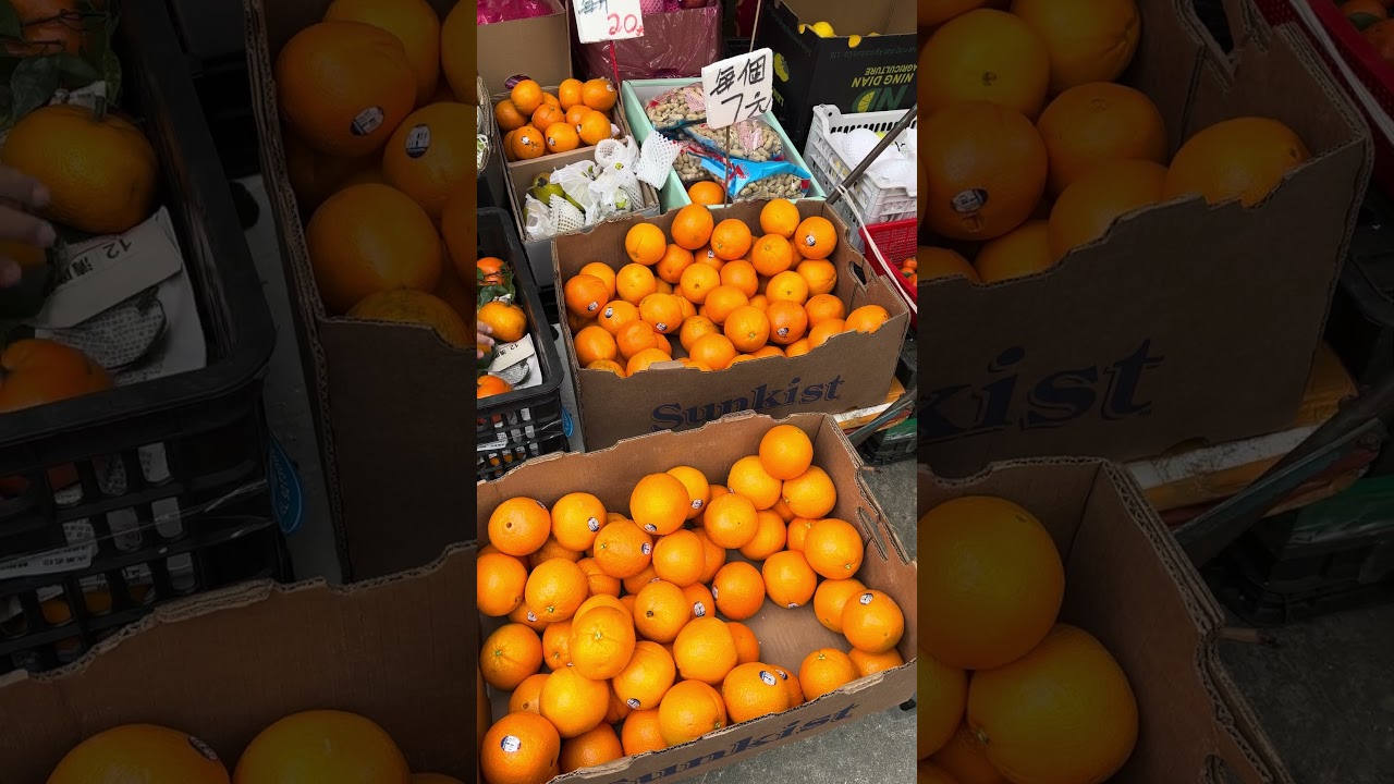 Explore Tai-O Fishing Village Via Public Bus 🇭🇰 