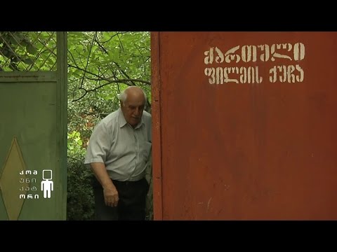 კინოსოფელი ბროწეულა - ანი ვაშაგაშვილის სიუჟეტი