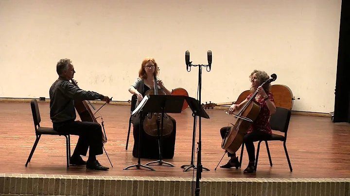 Giacobbe Cervetto, Cello Trio in A minor, Tido Janssen, Katherine Decker and Josephine van Lier