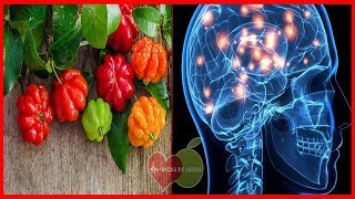 Os 15 Benefícios Da Pitanga Para Saúde Dicas De Saúde