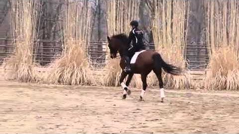 Schooling One and Two-tempis with Topas