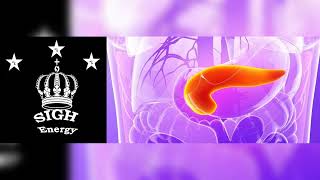 Hyperinsulinemia Healing and Regeneration EXTREMELY POWERFUL!!!(Energetically Programmed)