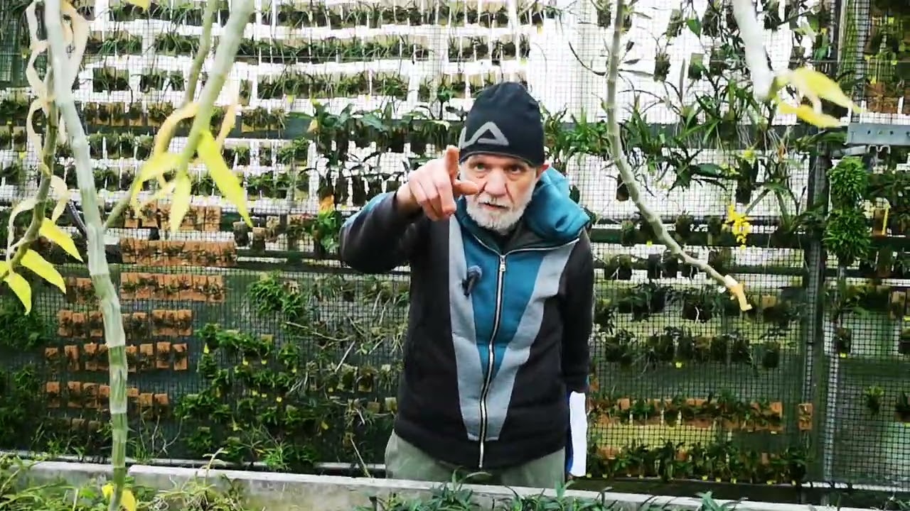 clienti venuti all'Orchideria han trovato chiuso, eravamo alla mostra, telefonate prima di venire!